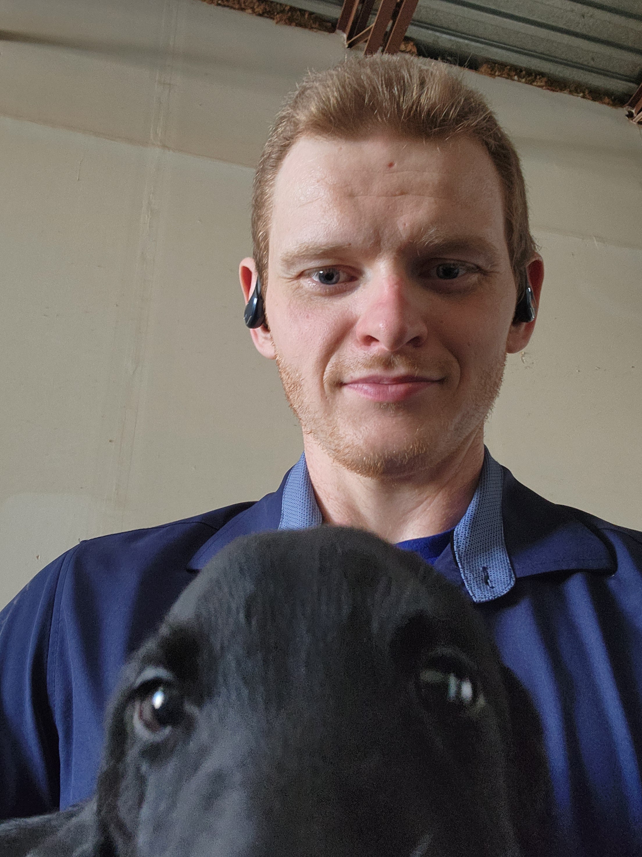 Willow & Recon's Purebred Labrador Puppies 900+ Titles Champion-Pedigree Labrador Puppies AKC Registered