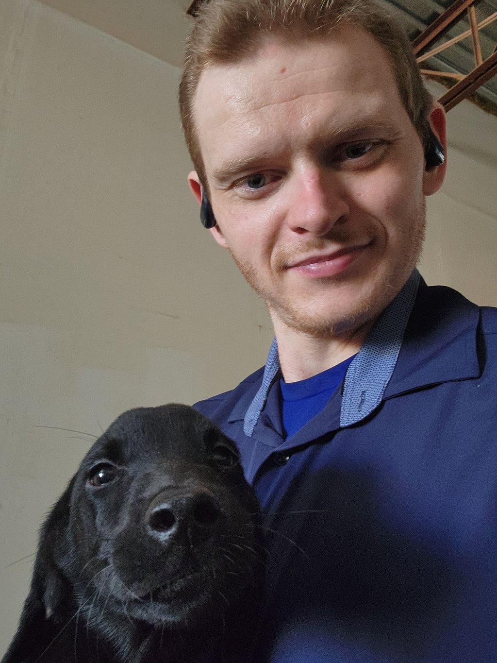 Willow & Recon's Purebred Labrador Puppies 900+ Titles Champion-Pedigree Labrador Puppies AKC Registered