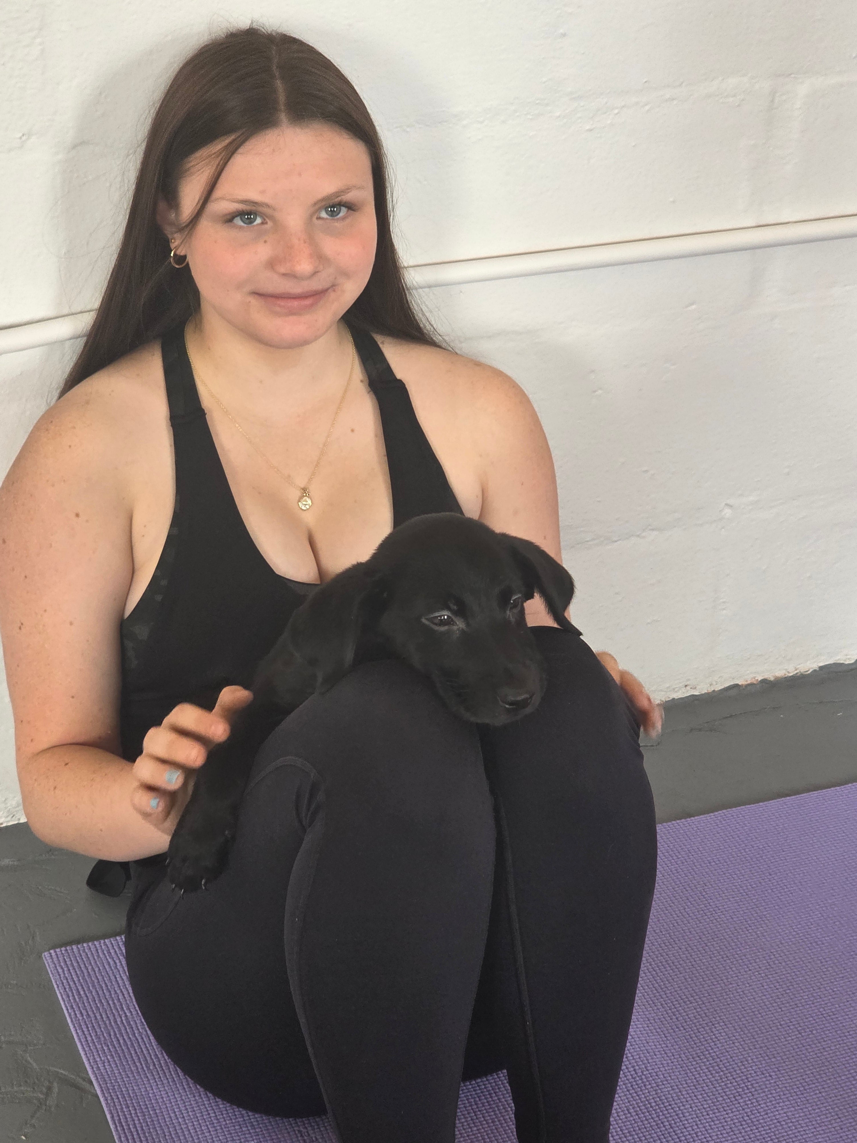 Sandy & Vader's Purebred Labrador Puppies 900+ Titles Champion-Pedigree Labrador Puppies AKC Registered