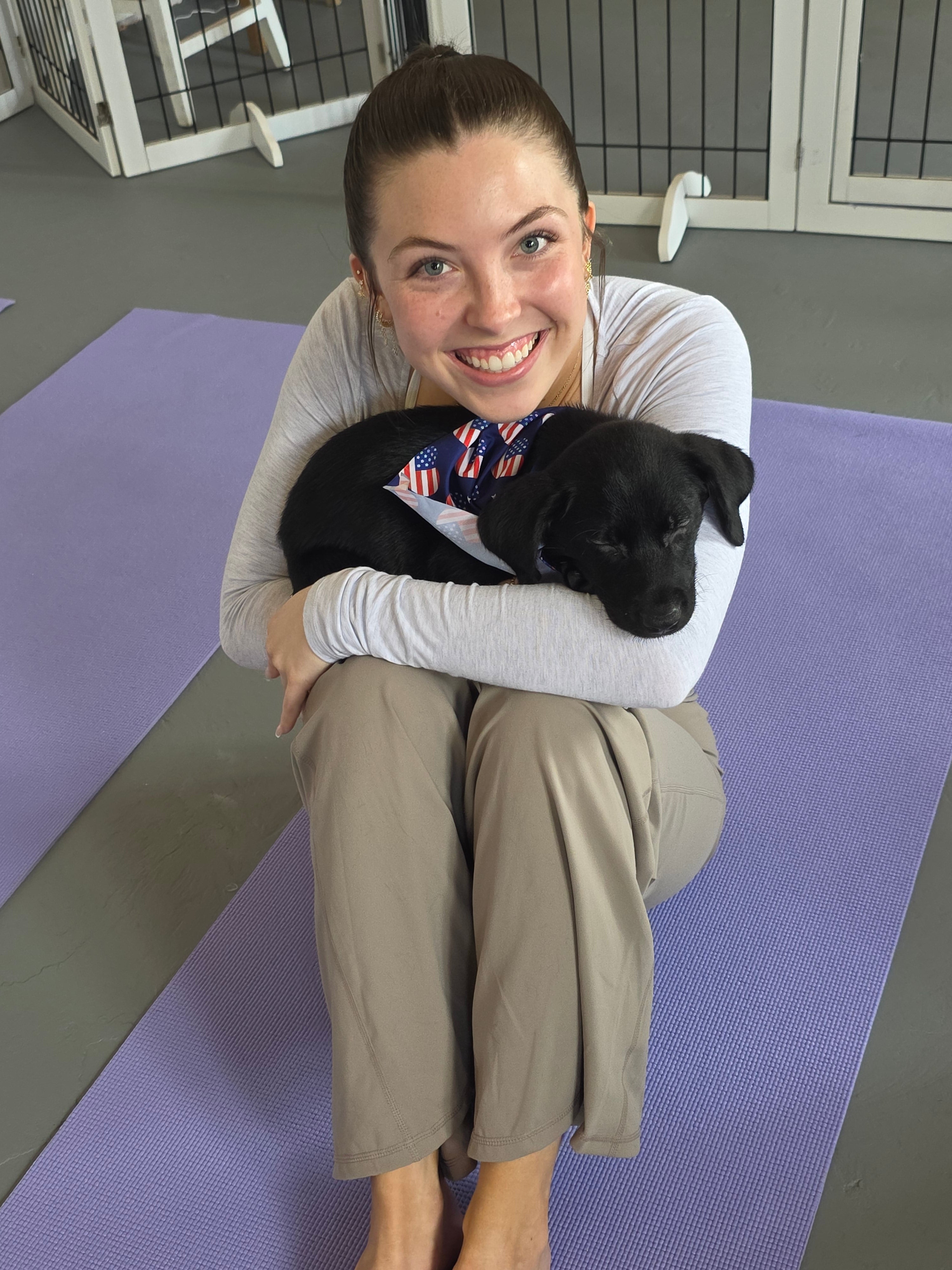 Sandy & Vader's Purebred Labrador Puppies 900+ Titles Champion-Pedigree Labrador Puppies AKC Registered