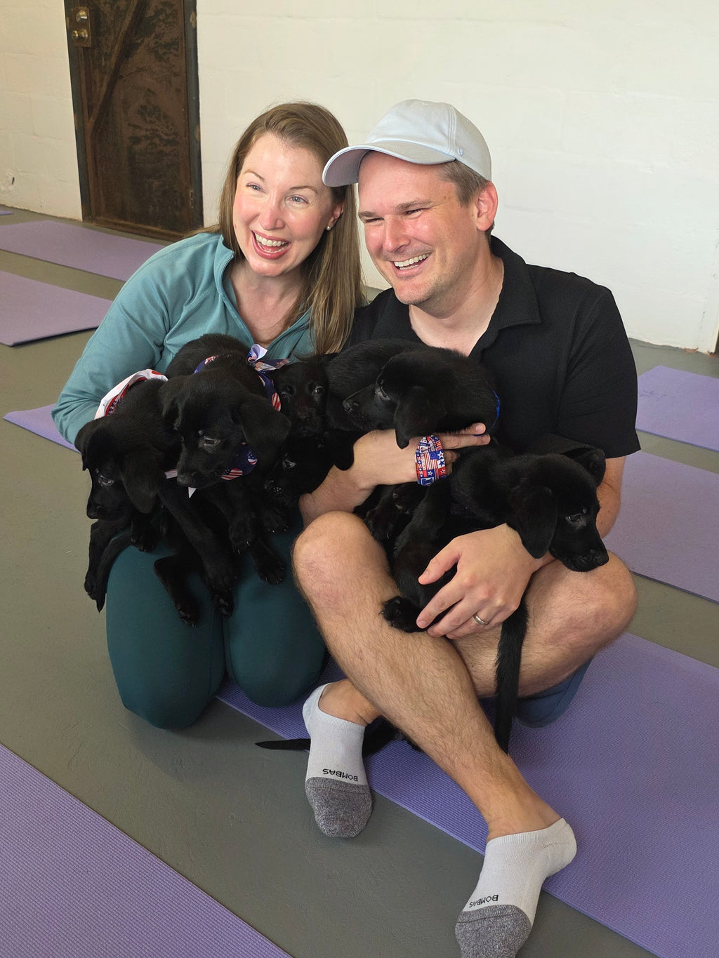 Sandy & Vader's Purebred Labrador Puppies 900+ Titles Champion-Pedigree Labrador Puppies AKC Registered