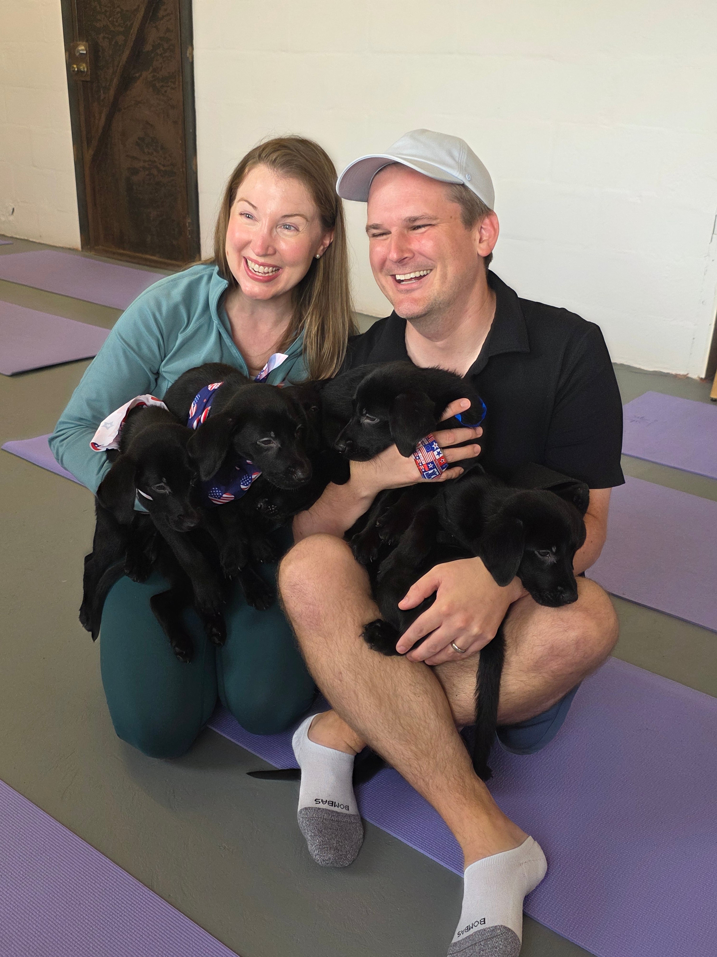 Sandy & Vader's Purebred Labrador Puppies 900+ Titles Champion-Pedigree Labrador Puppies AKC Registered