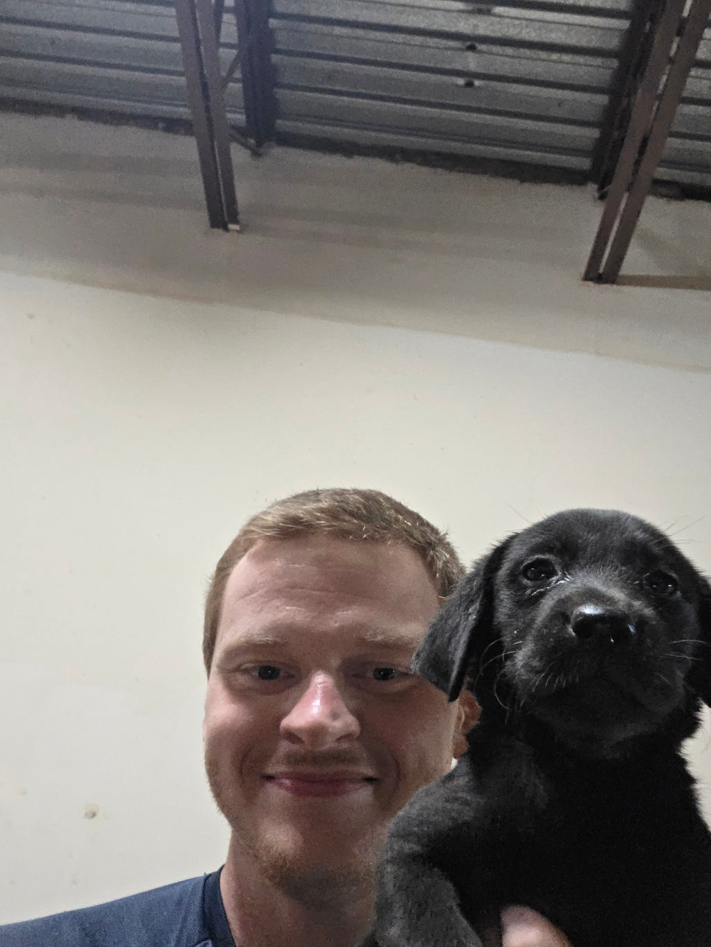 Puppy Reservation