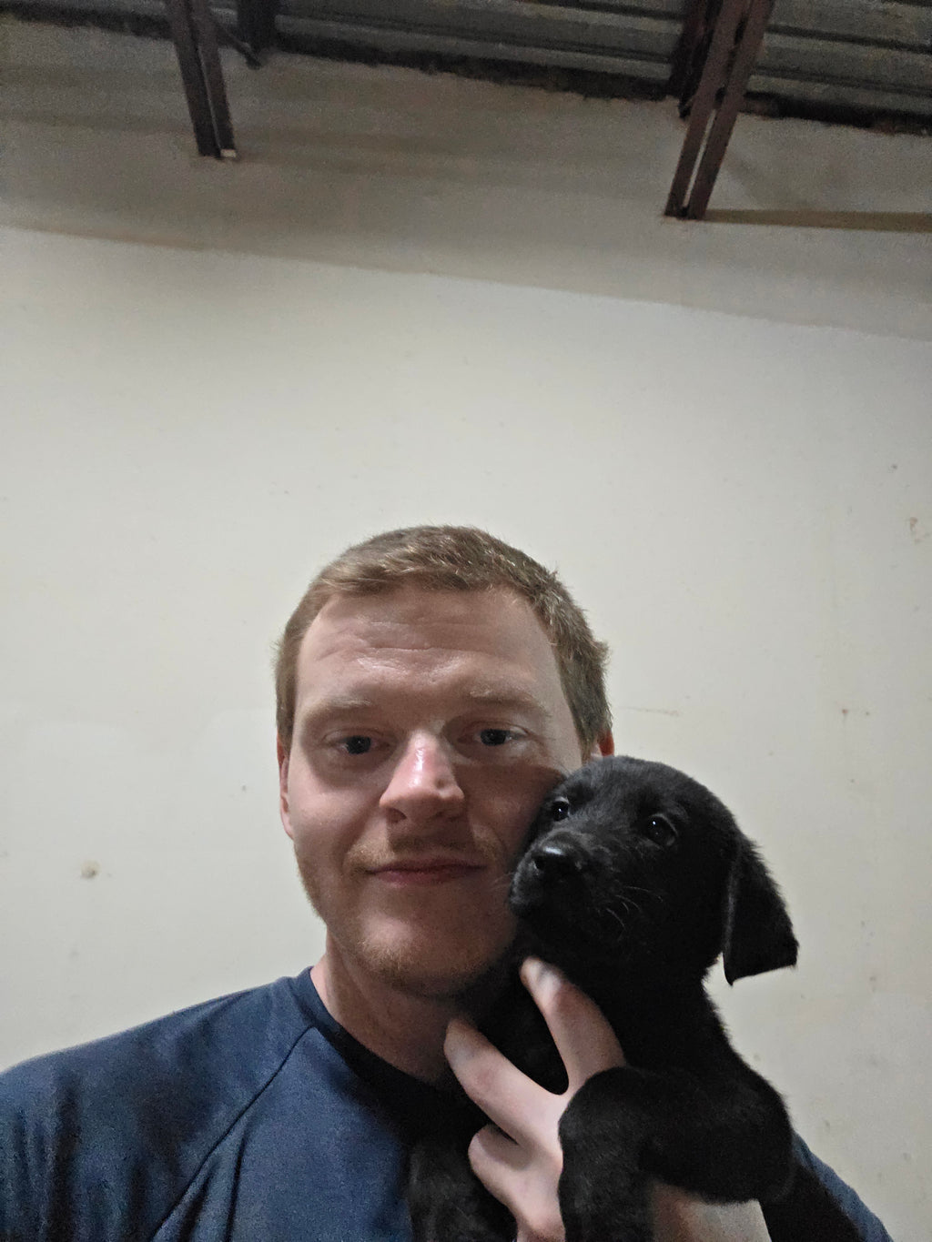 Puppy Reservation