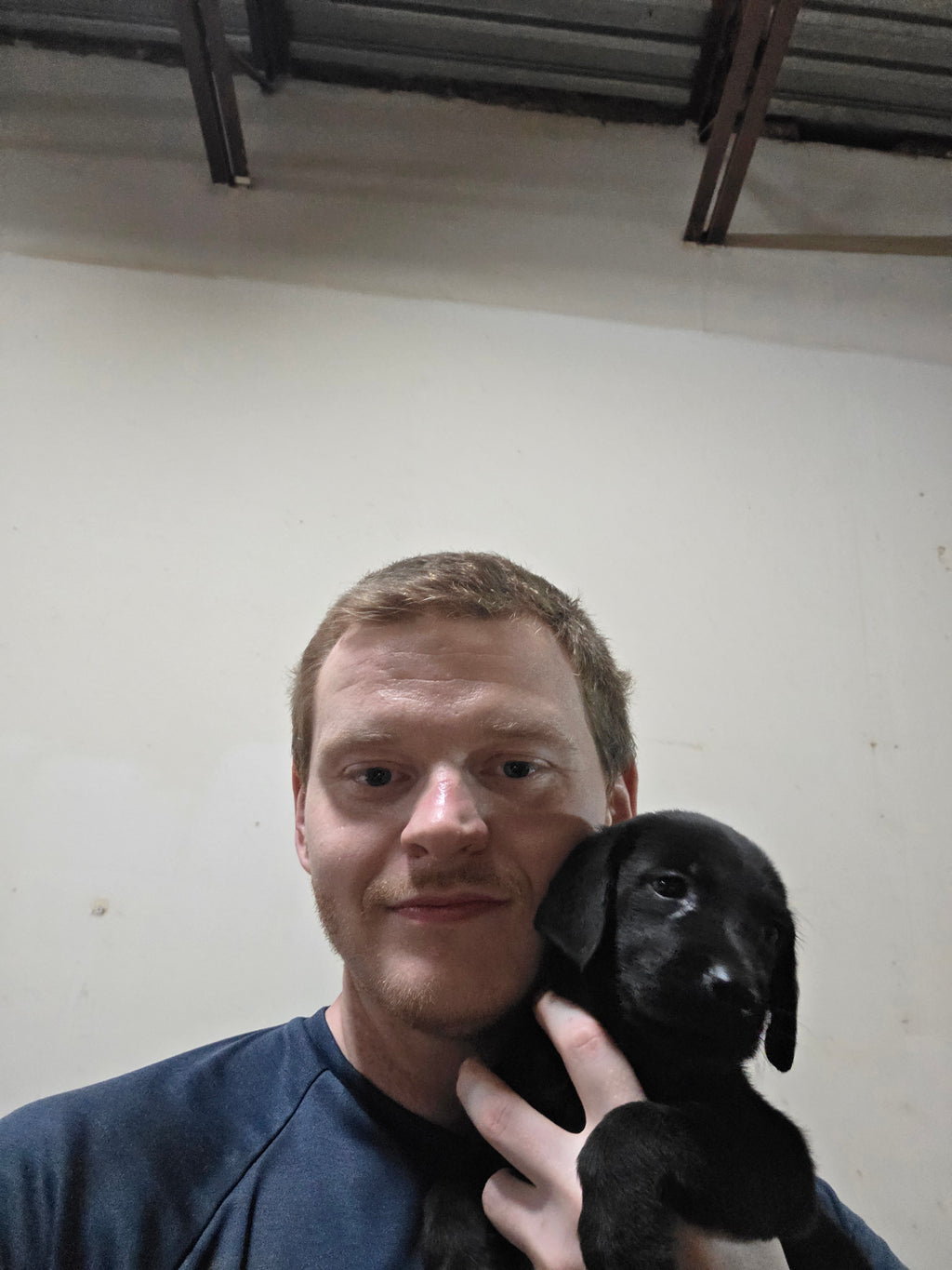 Puppy Reservation