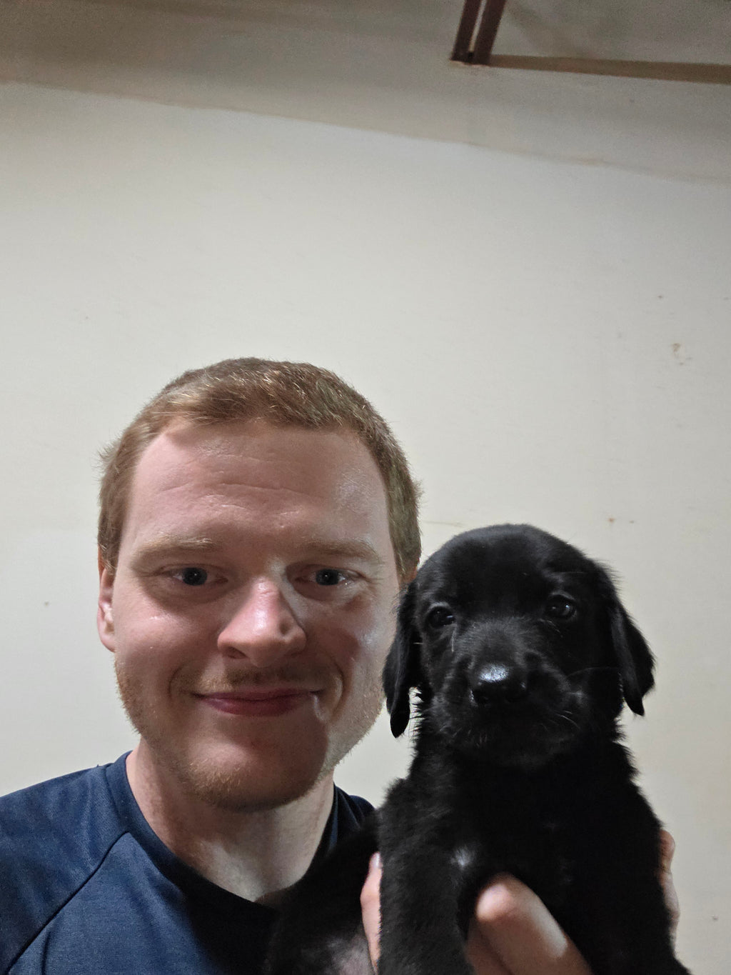 Puppy Reservation