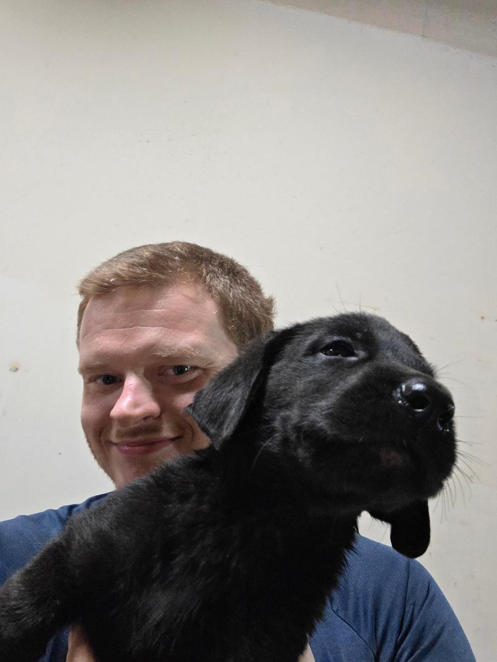 Puppy Reservation