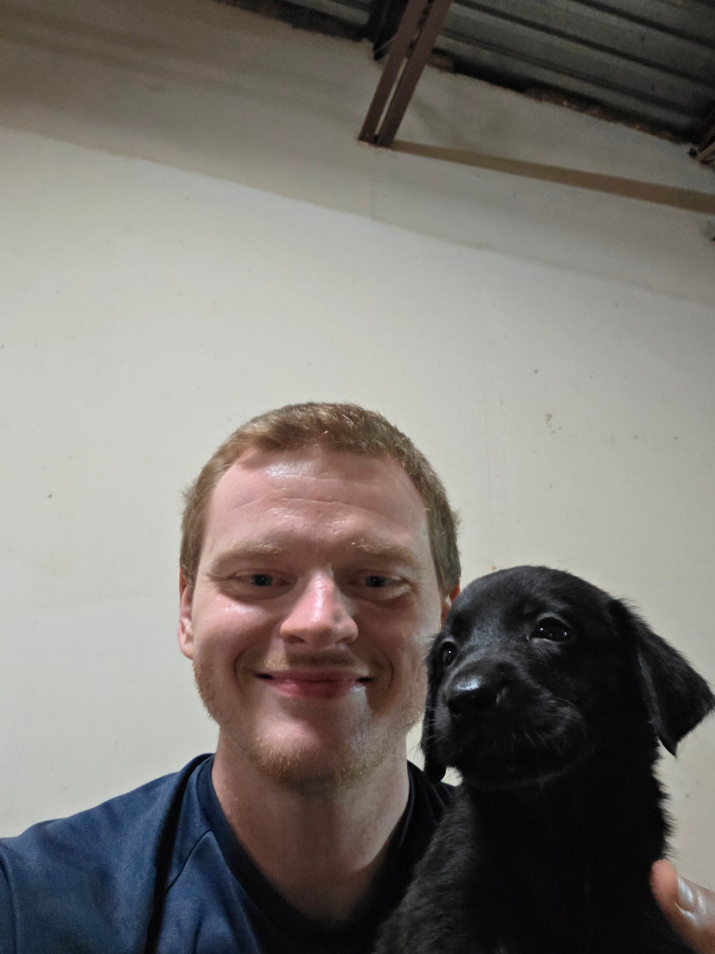 Puppy Reservation