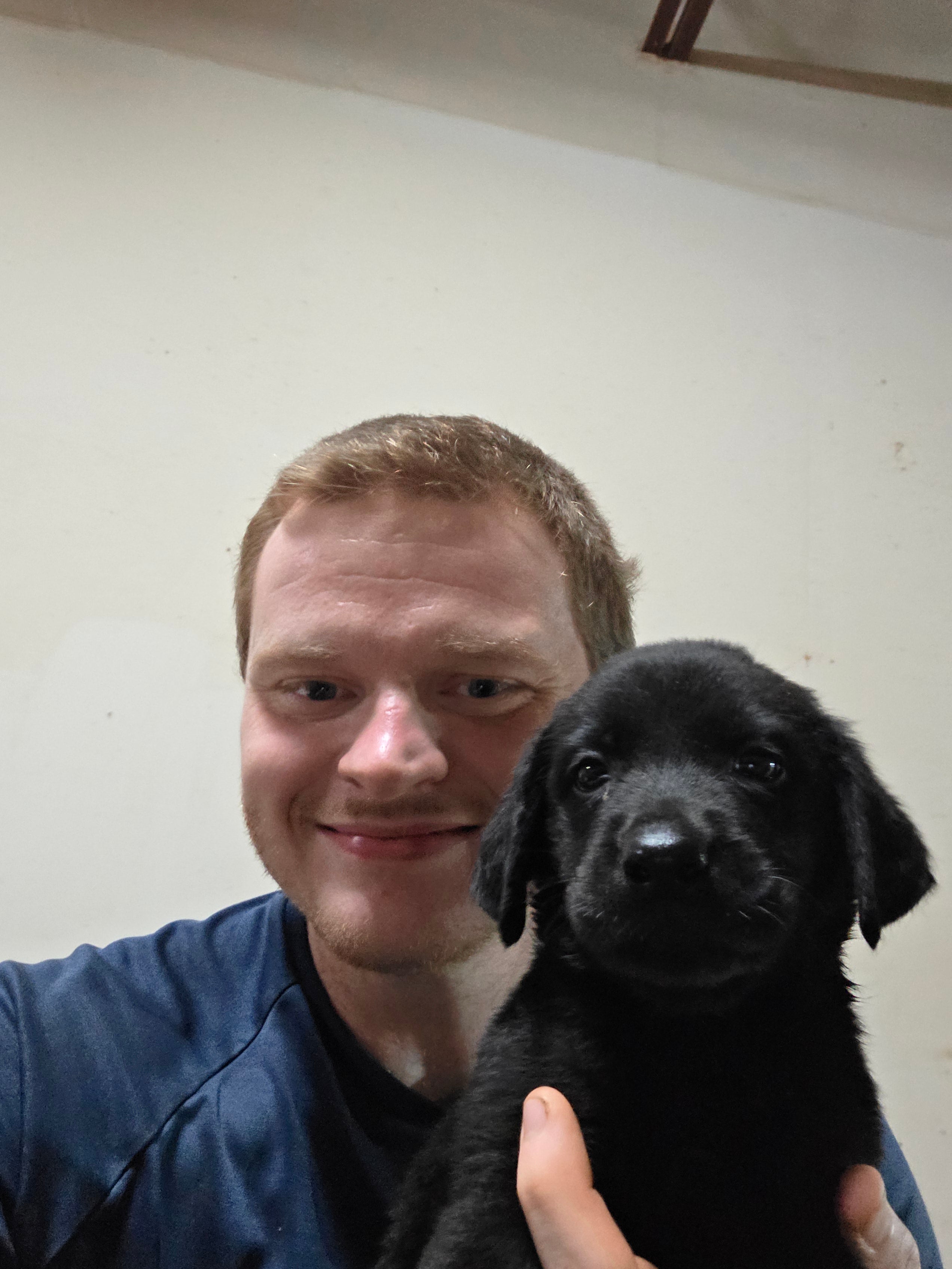 Puppy Reservation