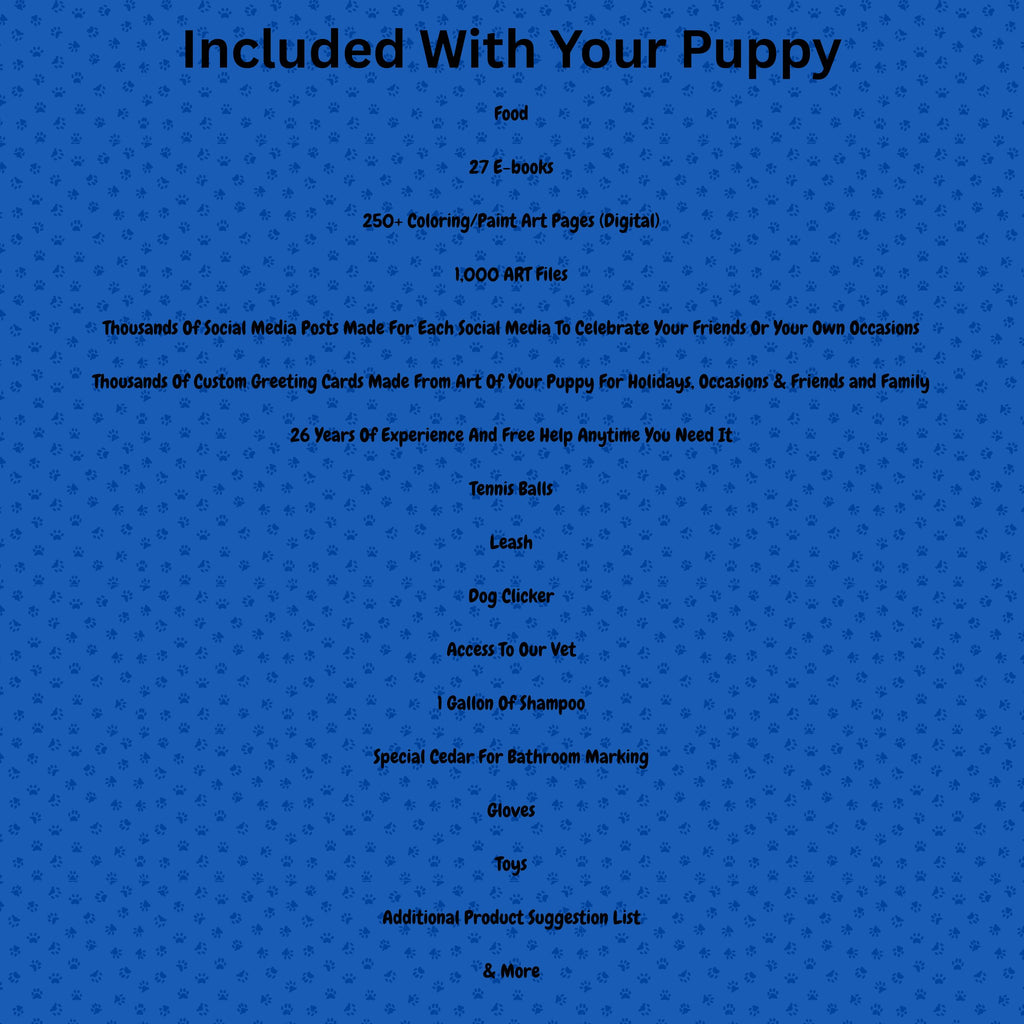 Willow & Recon's Purebred Labrador Puppies 900+ Titles Champion-Pedigree Labrador Puppies AKC Registered